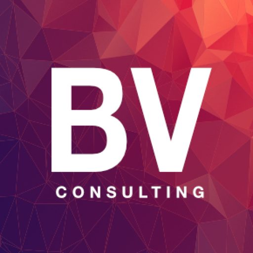 BV Consulting